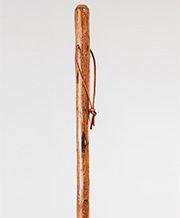 how long is the cane in inches