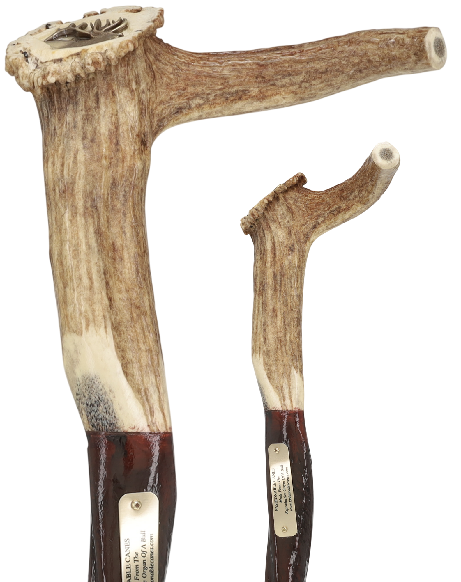 Is this for right hand or left hand or can be used with both?